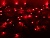 Светодиодная гирлянда нить Объемная 80 красных LED ламп 6 м, черный ПВХ, контроллер, IP44, Kaemingk (Lumineo)