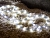 Светодиодный дюралайт 216 холодных белых LED-ламп, 12 мм, 9+1.5 м, уличный, Koopman International