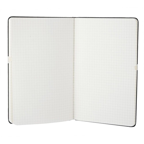 Блокнот Moleskine Classic Large, в клетку фото 2