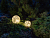 Садовый светильник Solar MAGIC CRACKELURE на солнечной батарее, 20 тёплых белых микро LED-огней, 19 см, Kaemingk (Lumineo)