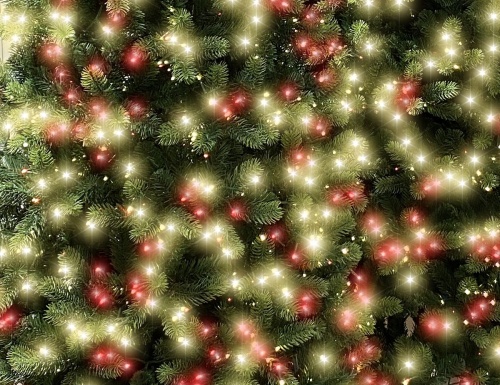 Искусственная ель ДЖОРДЖИЯ СТРОЙНАЯ (литая хвоя PE+PVC), зелёная, 2550 красных/тёплых белых LED-огней, 2.74 м, A Perfect Christmas в интернет-магазине VsemPodarok.com фото 2