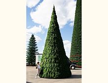 Уличная елка Русская каркасная, ПВХ, GREEN TREES